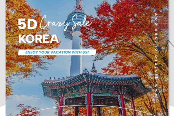 5D Crazy Sale Korea qj