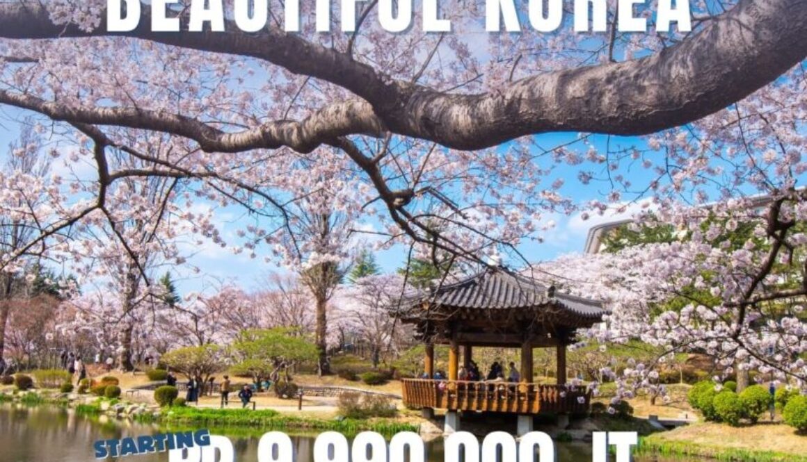 korea pakett